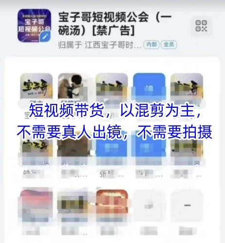 宝子哥头部团队短视频带货，以混剪为主，不需要真人出镜，不需要拍摄【更新8月】-项目资料商城