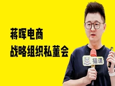 蒋晖电商战略组织私董会-教程视频打包下载-项目资料商城