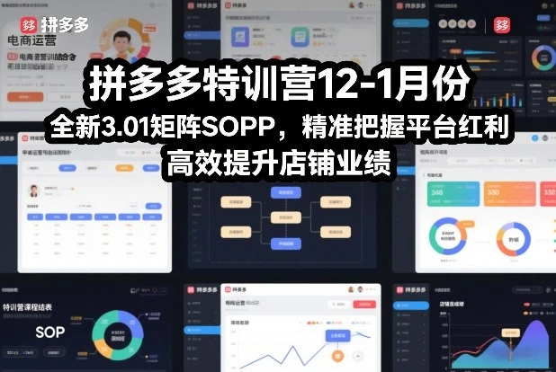【精】拼多多特训营12-1月份，全新3.01矩阵Sop，精准把握平台红利，高效提升店铺业绩-项目资料商城