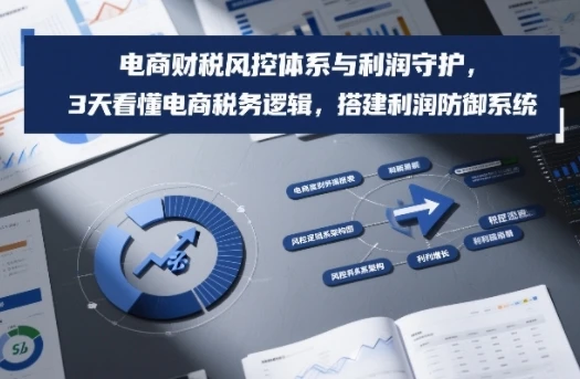 【精】电商财税风控体系与利润守护，3天看懂电商税务逻辑，搭建利润防御系统-项目资料商城